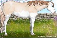 Horse Color:Sable Champagne Roan Pearl Splash Rabicano 