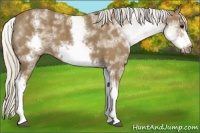 Horse Color:White Spotted Silver Smoky Black Frame
