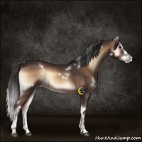 Horse Color:White Spotted Liver Red Onyx Splash 