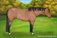 Horse Color:Bay Roan Rabicano 