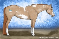 Horse Color:White Spotted Red Dun Splash Frame Rabicano
