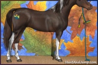 Horse Color:Liver Chestnut Tobiano 