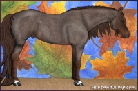 Horse Color:Liver Red Roan 