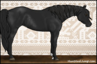 Horse Color:Gray Black Rabicano 
