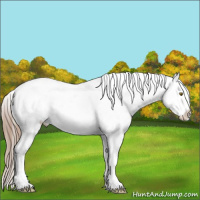 Horse Color:Liver Chestnut Snowcap 