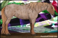 Horse Color:Red Roan 