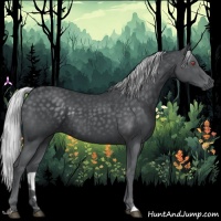 Horse Color:Silver Black Chinchilla 