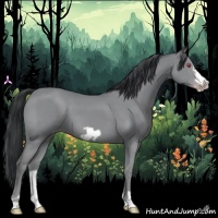 Horse Color:Classic Champagne Chinchilla Frame