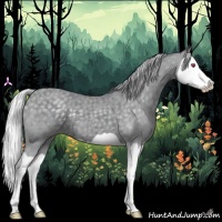Horse Color:Silver Classic Champagne Chinchilla Splash 