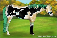 Horse Color:Watercolor Bay Ice Onyx Frame 