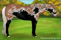 Horse Color:Chestnut Splash Frame 