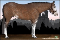 Horse Color:Buckskin Sabino