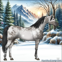 Horse Color:Grullo Ice 