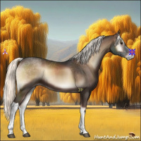 Horse Color:Liver Red Onyx Mushroom