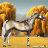 Horse Color:Liver Red Onyx Mushroom Rabicano