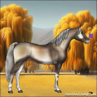 Horse Color:Liver Red Onyx Mushroom
