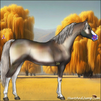Horse Color:Liver Red Onyx Mushroom Rabicano