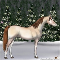 Horse Color:Bay Pearl Onyx 