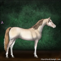 Horse Color:Red Dun Pearl Onyx Brindle 
