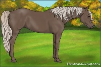Horse Color:Silver Black 