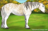 Horse Color:White Spotted Buckskin Splash  and White Spotted Silver Buckskin Splash 