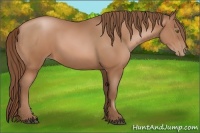 Horse Color:Brown Pearl 