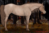 Horse Color:Blue Roan Pearl 