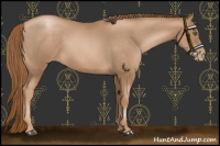 Horse Color:Liver Chestnut Pearl 