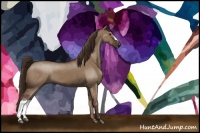 Horse Color:Liver Red Dun 