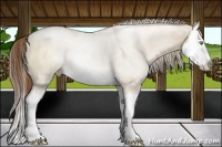 Horse Color:Liver Red Dun Roan Pearl Sabino Splash 