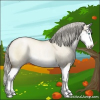 Horse Color:Chocolate Palomino Roan Pearl Dun Splash Rabicano 