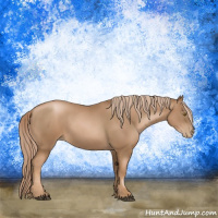 Horse Color:Liver Chestnut Pearl
