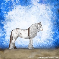 Horse Color:Liver Chestnut Sabino Rabicano