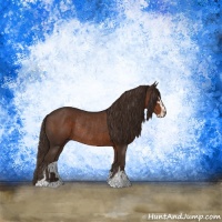 Horse Color:Liver Chestnut Sabino Rabicano