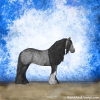 Horse Color:Black Rabicano 