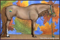 Horse Color:Liver Chestnut Pearl 