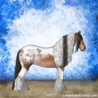 Horse Color:Brown Ice Tobiano Rabicano