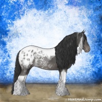 Horse Color:Black Ice Tobiano Appaloosa Rabicano
