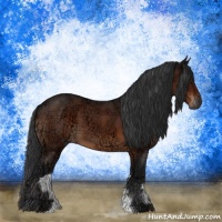 Horse Color:Brown Ice Sabino