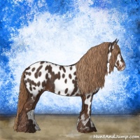 Horse Color:Liver Chestnut Near Leopard Rabicano 