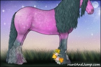 Horse Color:Watercolor Buckskin 