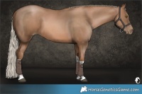 Horse Color:Liver Chestnut Pearl Tobiano