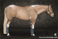 Horse Color:Liver Chestnut Pearl Tobiano 