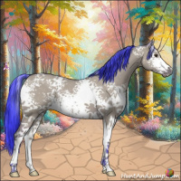 Horse Color:Watercolor White Spotted Bay Dun