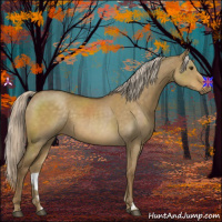 Horse Color:Chocolate Palomino Dun 