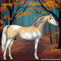 Horse Color:White Spotted Silver Buckskin Dun Splash Tobiano 