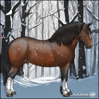 Horse Color:Bay Snowflake Varnish