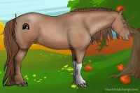 Horse Color:Brown Pearl 