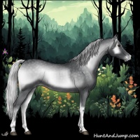 Horse Color:Silver Blue Onyx Chinchilla