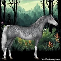 Horse Color:Silver Black Chinchilla 